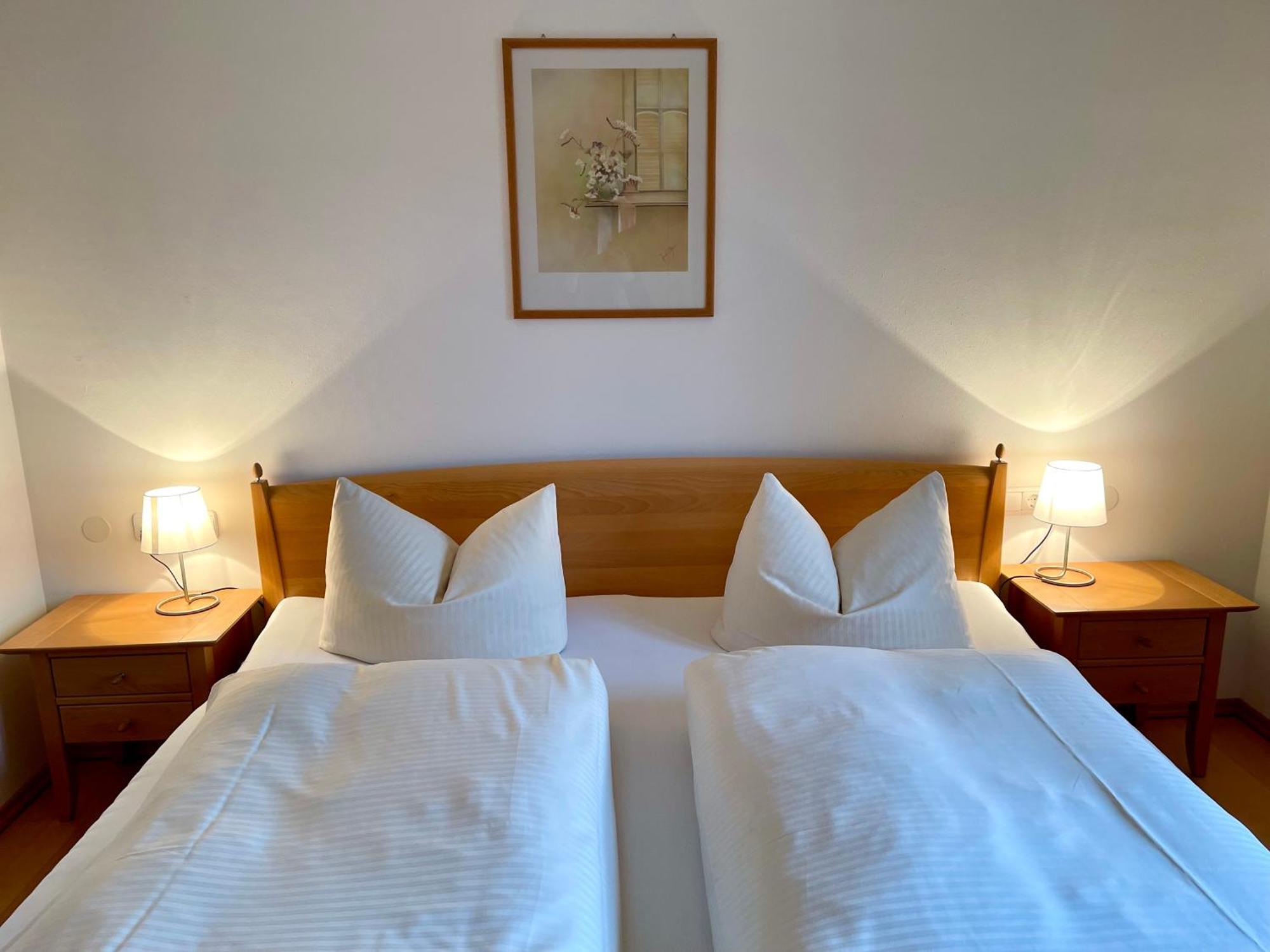 Ferienwohnung Alpenrose Sommer-Hoernerbahnen Kostenlos Обермайзельштайн Екстер'єр фото